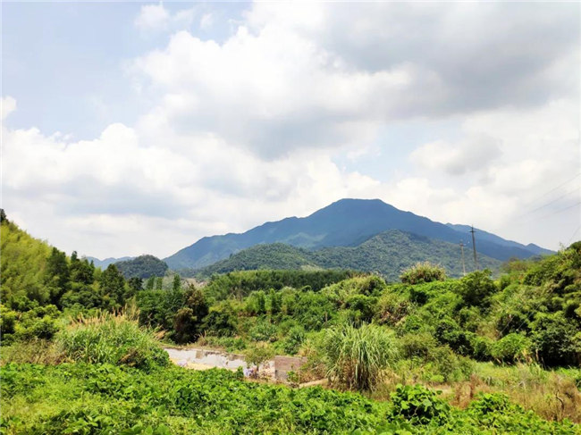 呼吸鮮氧，踐行公益&mdash;&mdash;廣東博皓公益活動(dòng)：星溪線公益環(huán)保活動(dòng)   -6