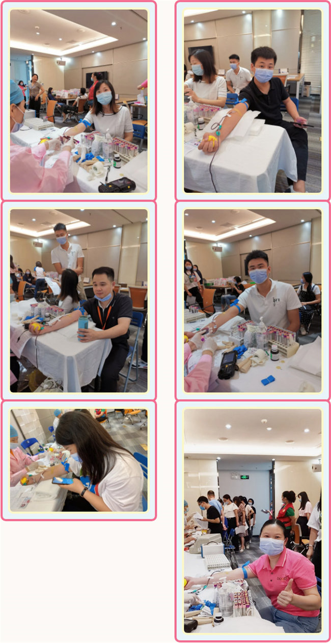 捐獻(xiàn)青春熱血，彩繪人生畫(huà)卷&mdash;&mdash;廣東博皓總班委組織了一次&ldquo;捐我熱血，呵護(hù)生命&rdquo;的無(wú)償獻(xiàn)血公益活動(dòng)    -3