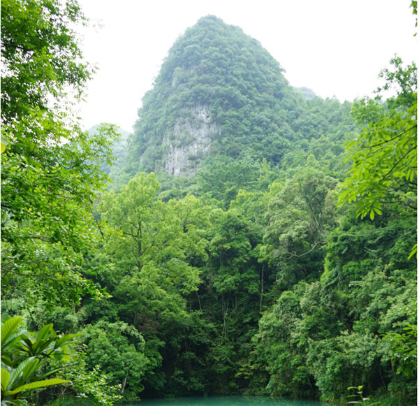賞華夏大地，游多彩貴州-－2021年廣東博皓快樂(lè)行-2