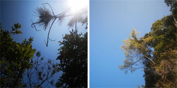 廣東博皓 博行天下丨虎年第一爬，挑戰從化老虎頭   -1