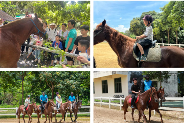 趣游盛夏,一路童行—2024年廣東博皓親子游 -10