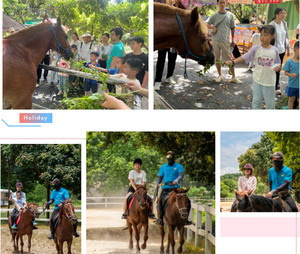 廿載博皓盛夏日，親子相伴歡樂(lè)行&mdash;2024年廣東博皓親子游    -7