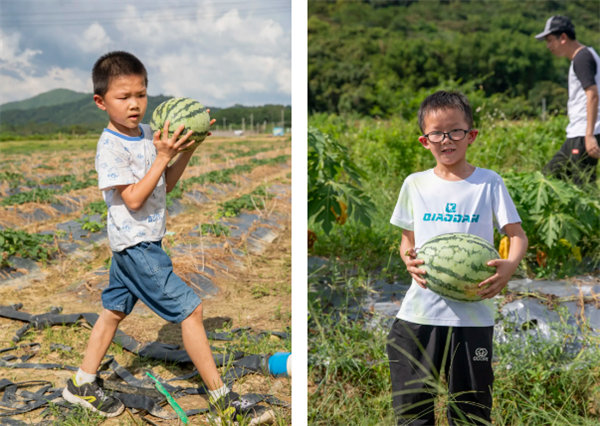 廿載博皓盛夏日，親子相伴歡樂(lè)行&mdash;2024年廣東博皓親子游    -9